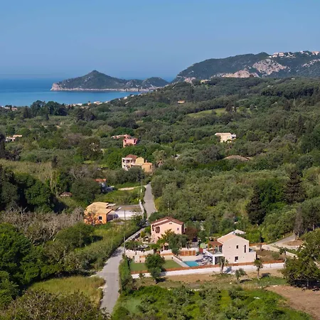 Olea Corfu Agios Georgios Pagon